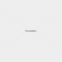 placeholder-1600